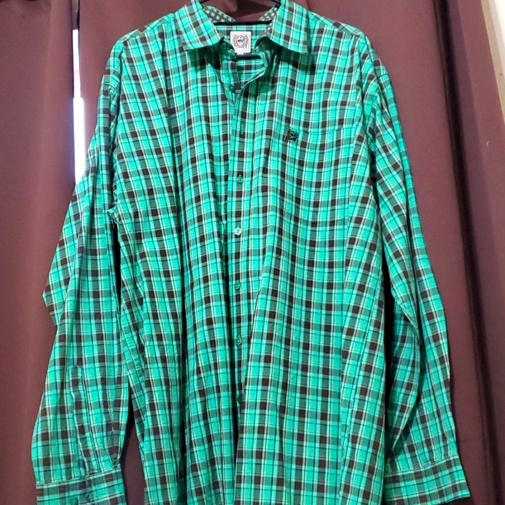 Cinch button down